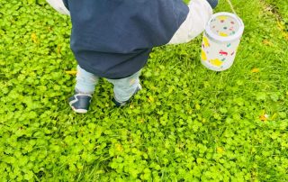 GrosstagespflegeLaterne