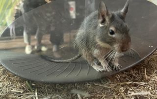 KindertagespflegeAusflug