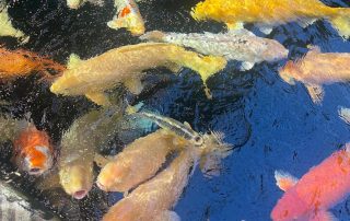 KindertagespflegeAusflugHeilbronn